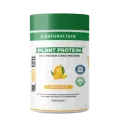 Plant Mango Naturaltein