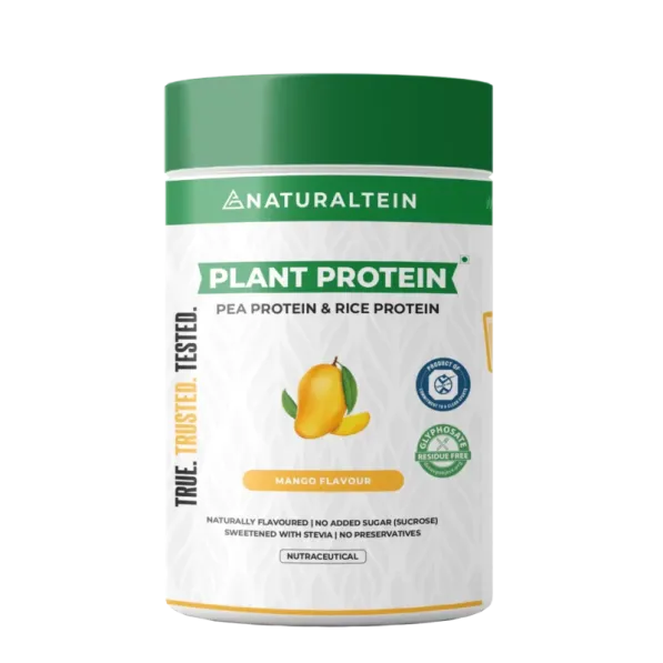 Plant Mango Naturaltein